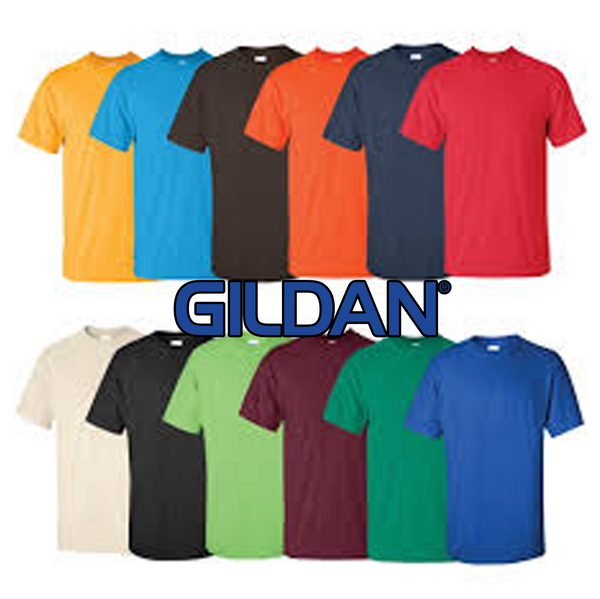 Mixed Colored Gildan T-Shirt from the BIN